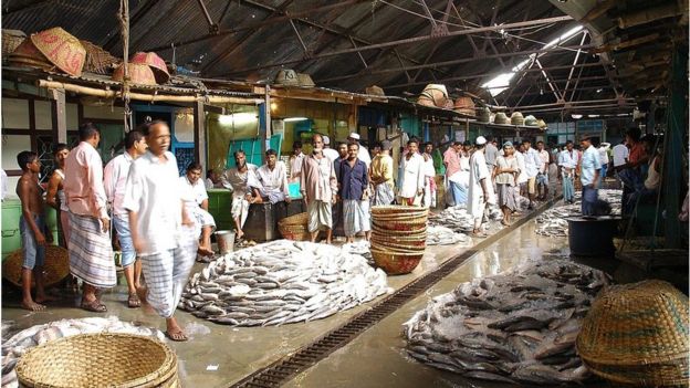 চাঁদপুরে মাছের আড়ত