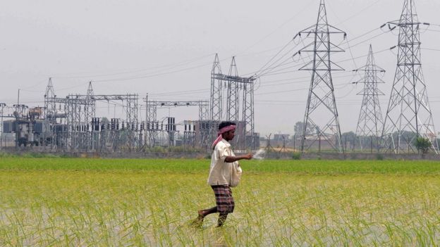 A farmer walks through a lush rice field in rural India with electricity pylons in the background