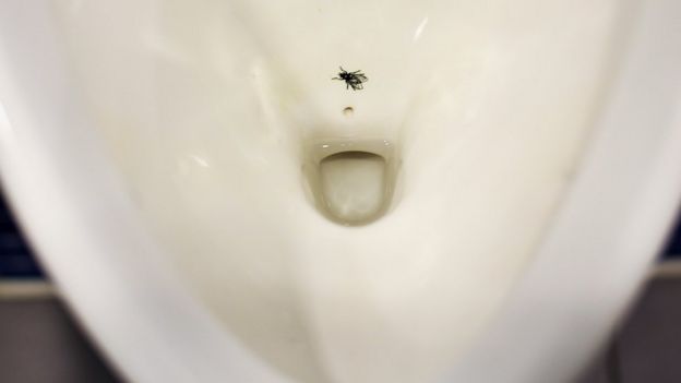 toilet bowl with fly etched on