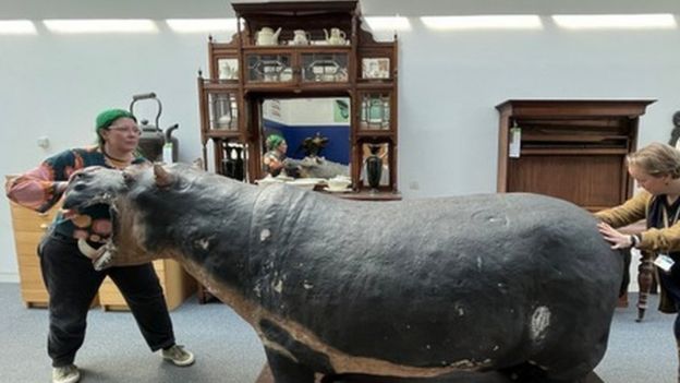 Leeds Stuffed 99-year-old Hippo Being Restored To 'full Majesty' - Bbc News