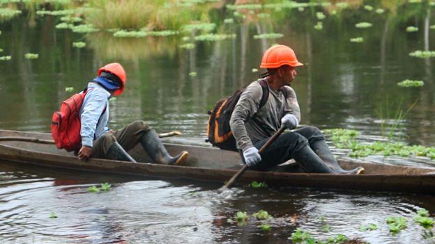 Trabajadores de Osinfor inspeccionando la Amazonía.