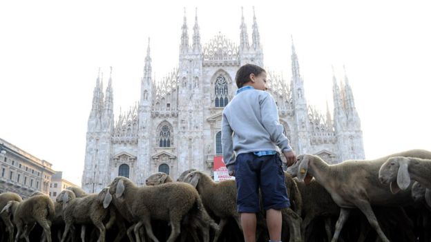 İtalyan'nın Roma'dan sonra ikinci büyük şehri olan Milano'nun merkezinden bir filmin çekimi için koyun sürüsü geçmişti