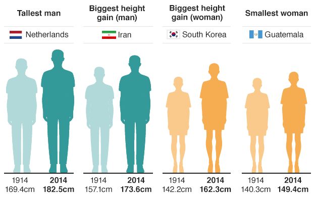 Height Chart Of Men And Women In Different Countries