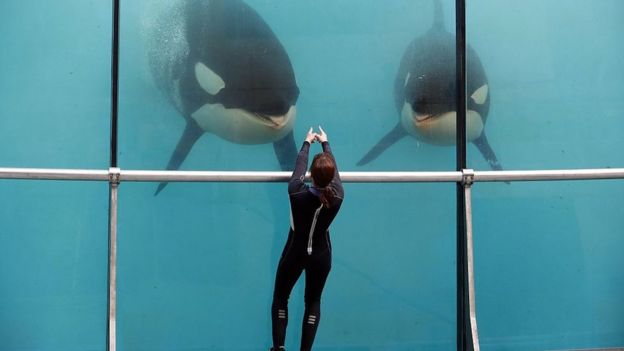 பயிற்சியாளர்