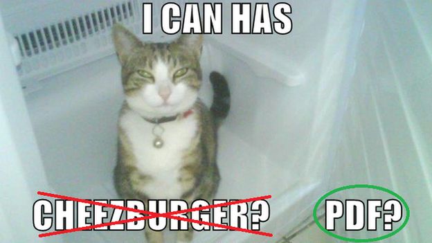 The "I can has cheezberger?" cat meme has been adapted by scientists looking for research papers online