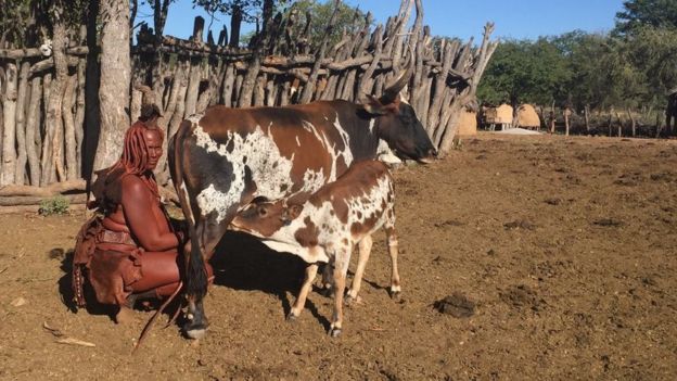 Namibias Himba People Caught Between Traditions And Modernity Bbc News