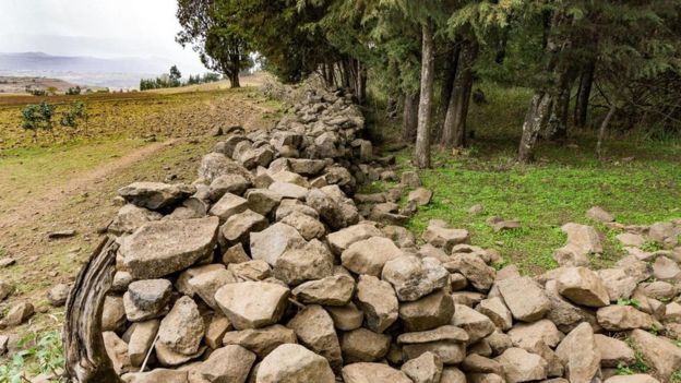 Muro de pedra de floresta sagrada da Etiópia