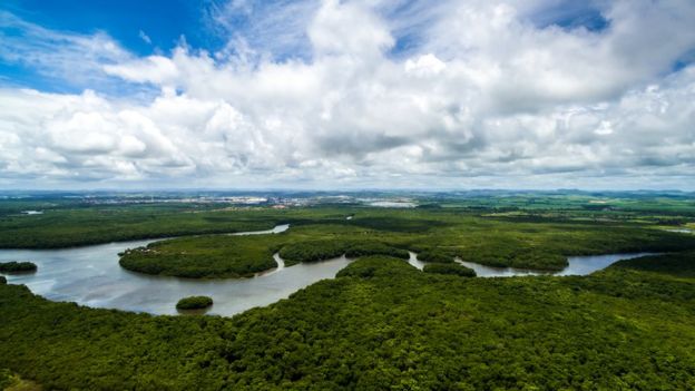 Vista aérea da Amazônia