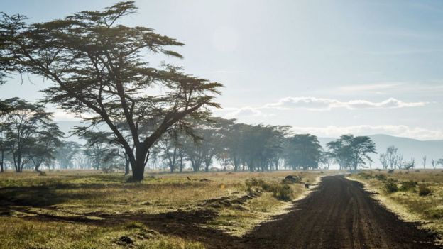 Estrada em Nakuru