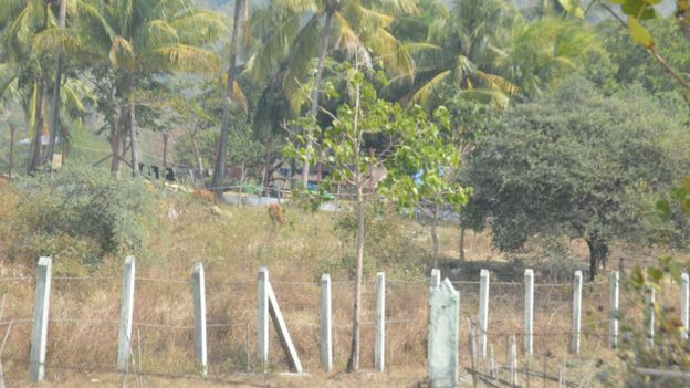 ၂၀၁၉ ခုနှစ်အတွင်းကလည်း ရဲကင်းစခန်းတွေကို ဝင်ရောက်တိုက်ခိုက်မှုကြောင့် ရဲတပ်ဖွဲ့ဝင် ၂၀ကျော်သေဆုံးခဲ့ရ