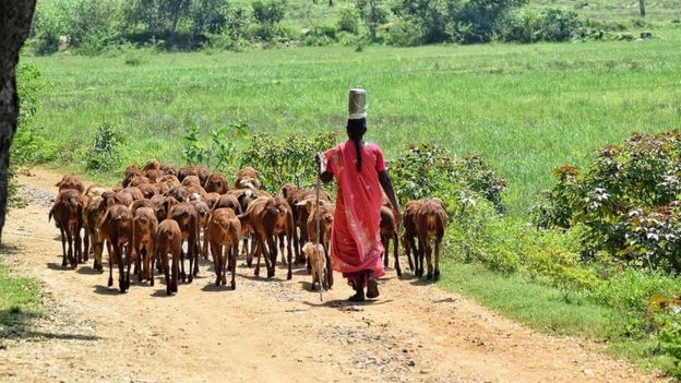 கே.ஈஸ்வரமூர்த்தி, செங்கல் பட்டு