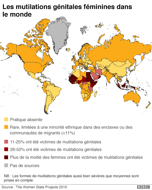 La pratique des mutilations gÃ©nitales fÃ©minines est concentrÃ©e dans 30 pays d'Afrique et du Moyen-Orient.