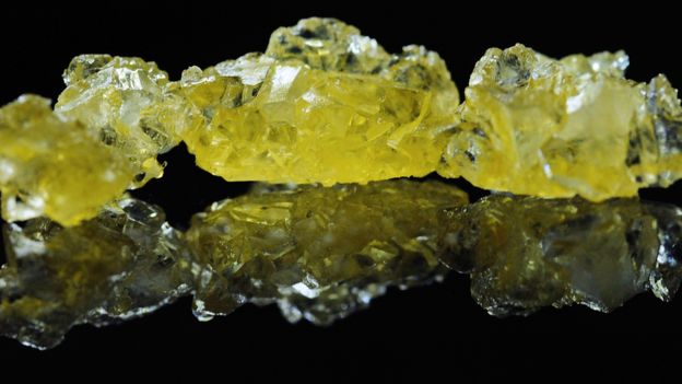 lazy placeholder Brasileiro se muda para a Califórnia para plantar maconha e vira ídolo do haxixe