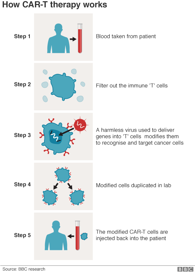 Immune discovery 'may treat all cancer' _110580626_cancer_therapy_inf640-nc