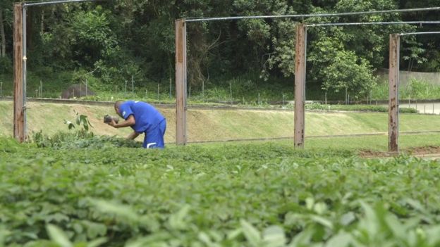 Colônia Agrícola Marco Aurélio Vergas Tavares de Mattos