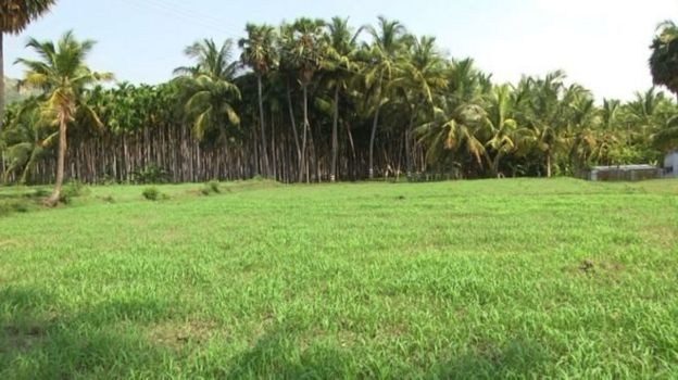 பசுமை வழிச் சாலை