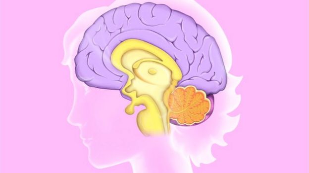 நுகரும் திறனை இழக்கிறீர்களா? மறதி நோய் எச்சரிக்கை!