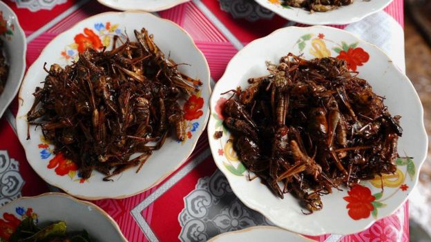 Sajian serangga