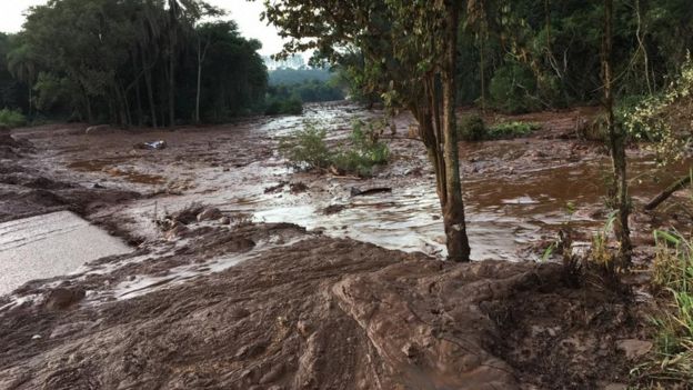 Lama cobre região de Brumadinho