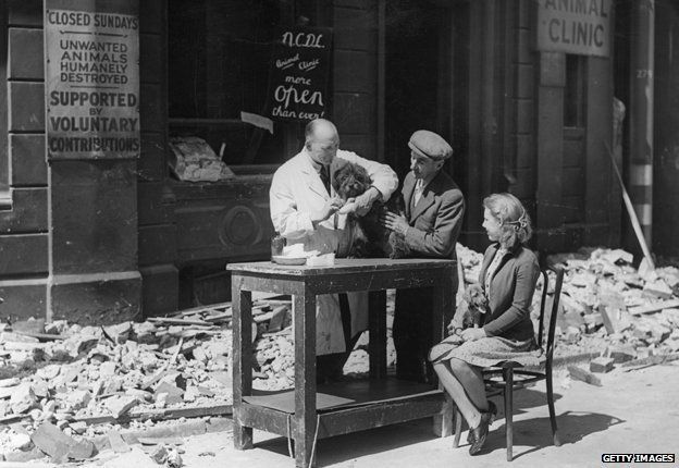 A vet treats a dog outside after his premises are blown out by a bomb. A sign reads: "Animals humanely destroyed"