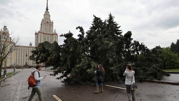 Moskova'da fırtına sonrası düşen ağaç
