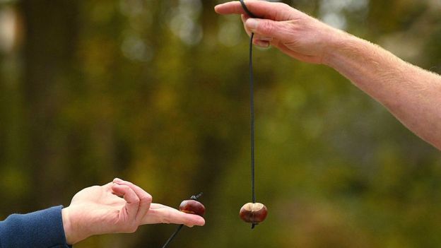 World conker championships in the UK