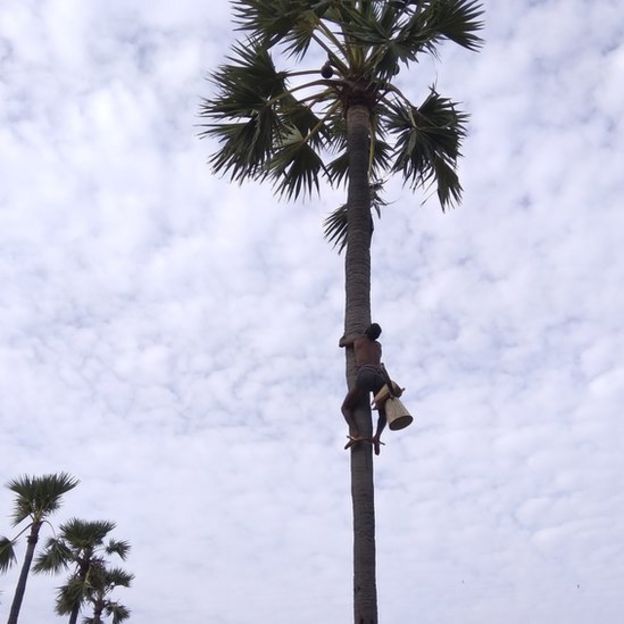 பதநீர் விற்பதால் கிடைக்கும் வருமானத்தில் பள்ளியை பராமரிக்கும் கிராம மக்கள்