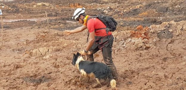 Resultado de imagem para Cães farejadores auxiliam no trabalho brumadinho