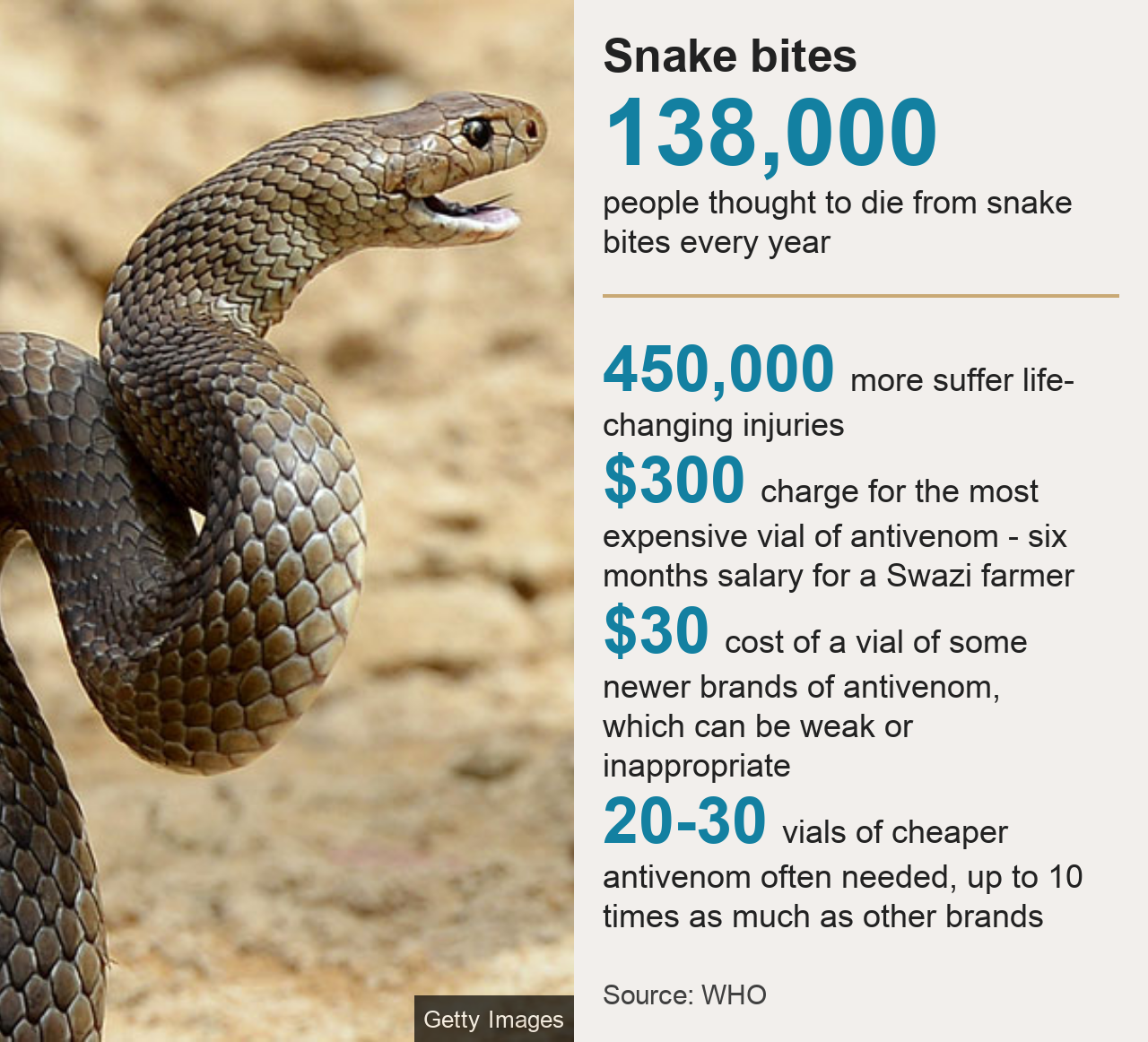 Why Are So Many People Still Dying From Snake Bites? - BBC News