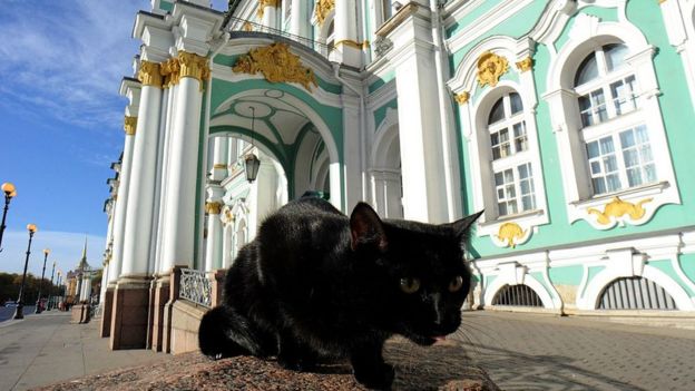 Gato negro frente al Museo Hermitage de San Petersburgo, Rusia.
