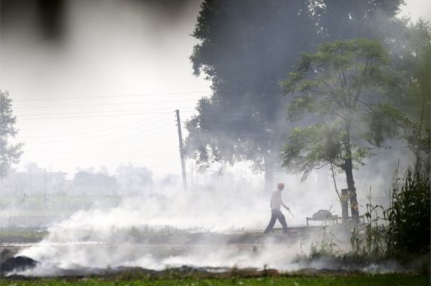 An Indian villager walks amidst smoke that rises from paddy stubble burning in a nearby field at a village on the outskirts of Amritsar, India, 09 October 2018.