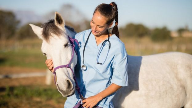 Un veterinario abraza un caballo