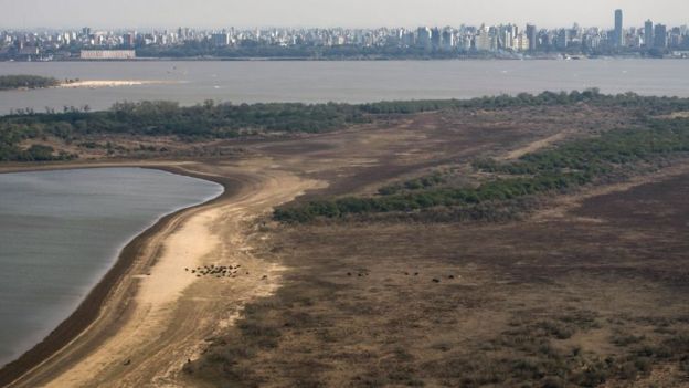 Vista aérea de un pantanal seco cerca de Rosario, en Argentina.