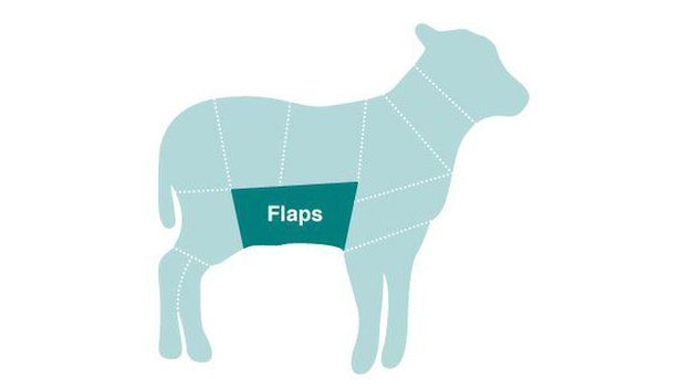 Diagram of sheep showing location of mutton flaps