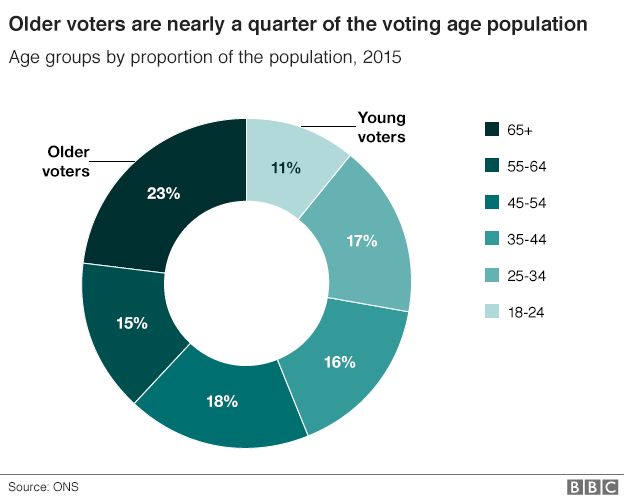 Older votes are nearly a quarter of the voting age population
