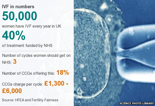 IVF datapic