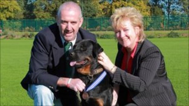 Rottweiler Honoured For Stopping Coventry Sex Attacker Bbc News