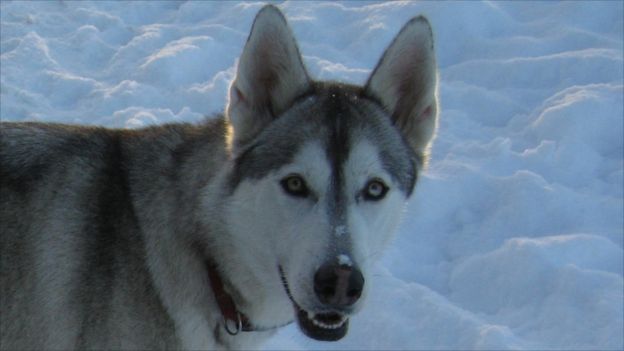 Your Pictures of Scotland: 26 Nov - 3 Dec - BBC News