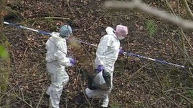 Human Remains Found In Livingston Might Be Older Man - BBC News