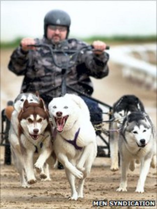 Bolton Husky racing couple's greyhound track secret - BBC News