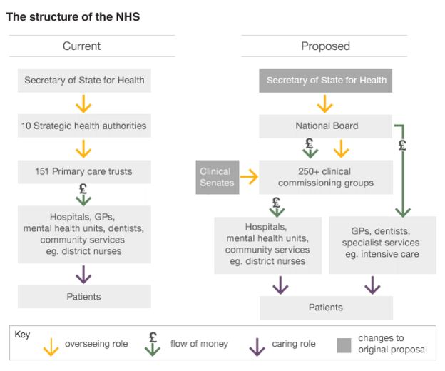 Step-by-step Guide To NHS Changes - BBC News