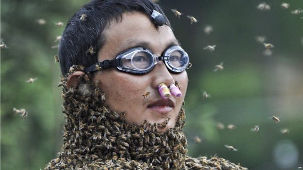 Un-bee-lievable: people get covered in bees in China - BBC Newsround