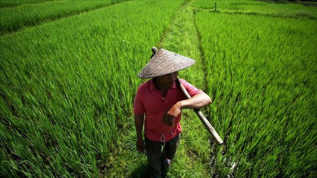 Laos Profile - In Pictures - BBC News