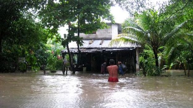 El Salvador counts cost as crops destroyed by floods - BBC News