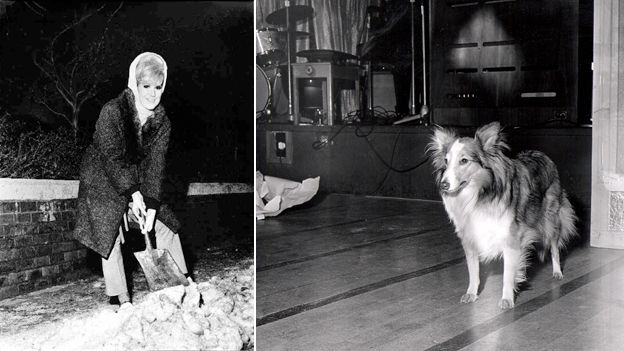 Пыльный Спрингфилд сгребает снег в 1965 году и только что появившаяся собака