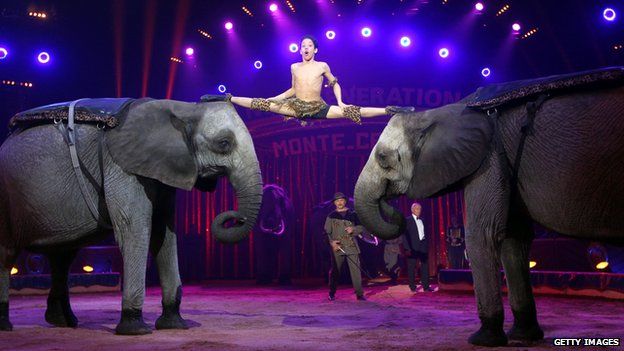 Government promises to ban wild animals in circuses - BBC Newsround