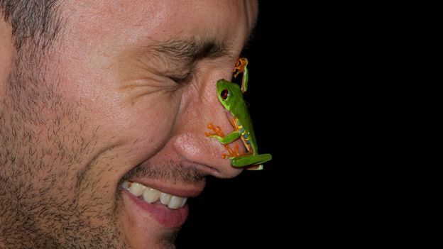 Frog on face