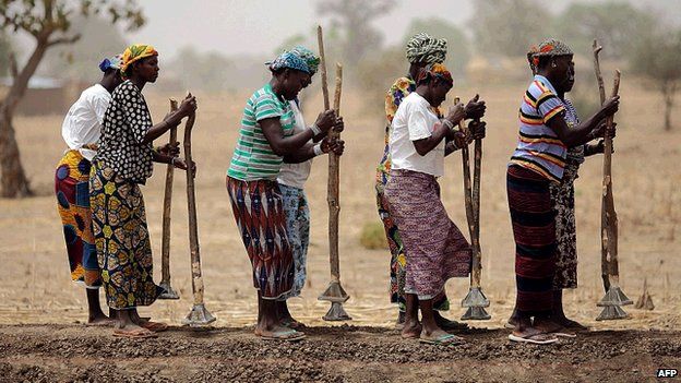 African women in field