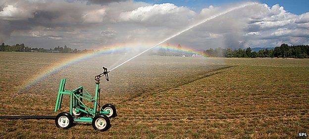 Spray irrigation in field