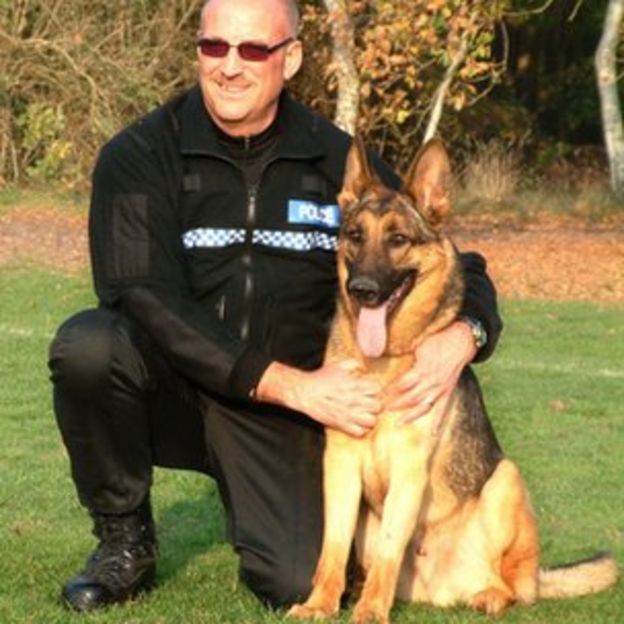 Wounded Suffolk Police dog gets hero award over arrest - BBC News